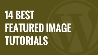 14 Best Featured Image Plugins and Tutorials for WordPress