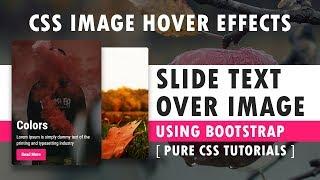 CSS Slide Text Over Image - Css Image Hover Effects Using Bootstrap - Pure CSS3 Hover Effects