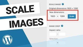 How to Scale Images in WordPress