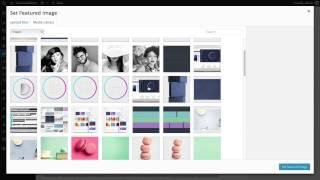 Creating Projects In Divi