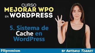 Curso WPO WordPress #5 Sistema de cache en WordPress