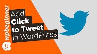 How to Add Click to Tweet Boxes in Your WordPress Posts
