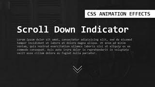 CSS Scroll Down Indicator Animation Effects | Html CSS