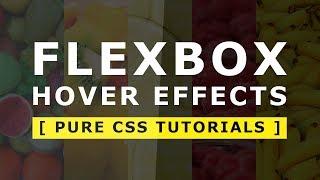 Css Flexbox with cool hover effects - css3 hover effects - Fullscreen flexbox hover effects
